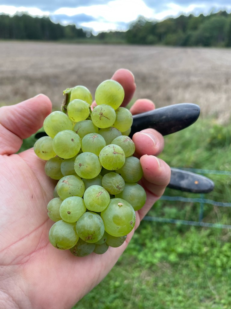 ©kristinakeyzer2022