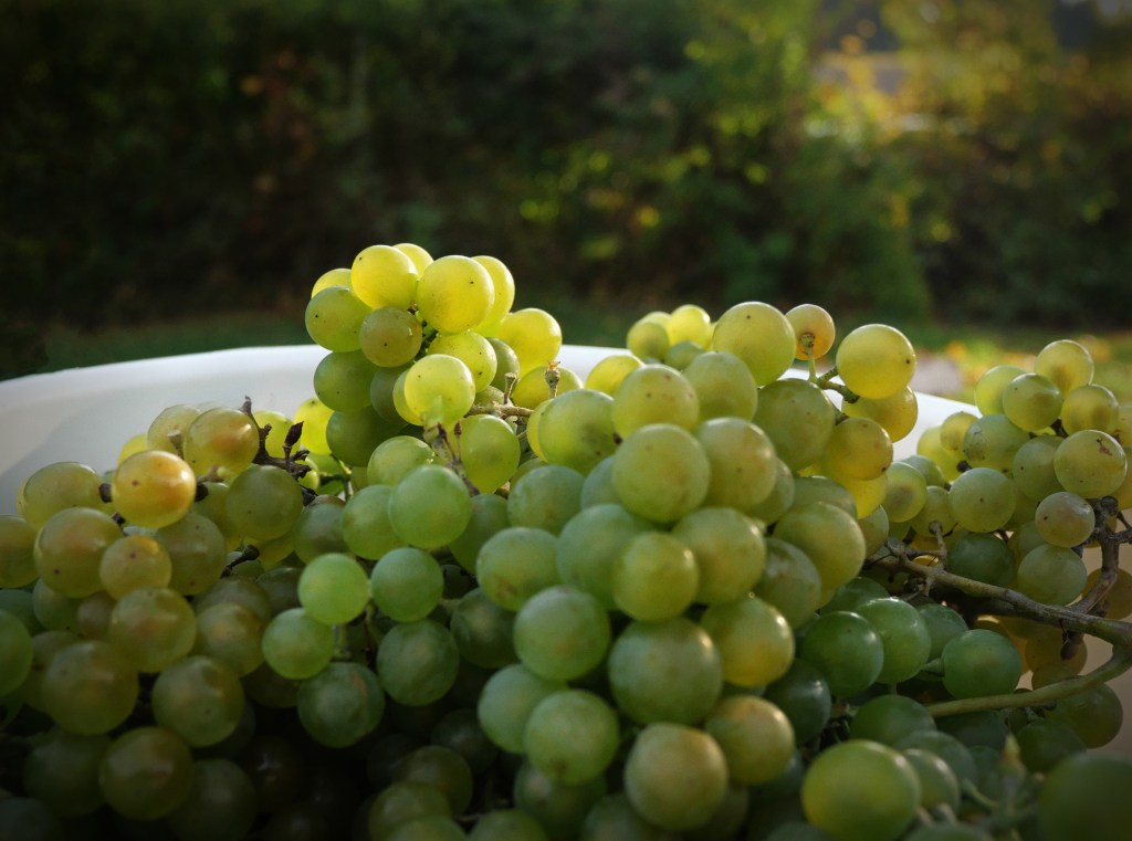 ©kristinakeyzer2022