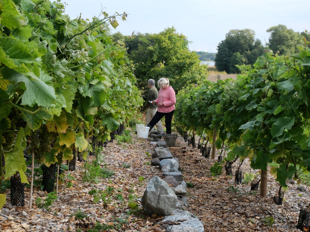 ©KristinaKeyzer2023