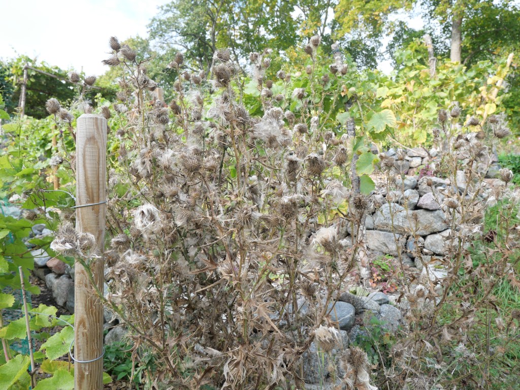 ©kristinakeyzer2022