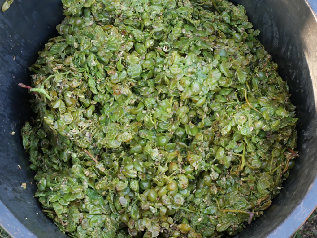 ©kristinakeyzer2022