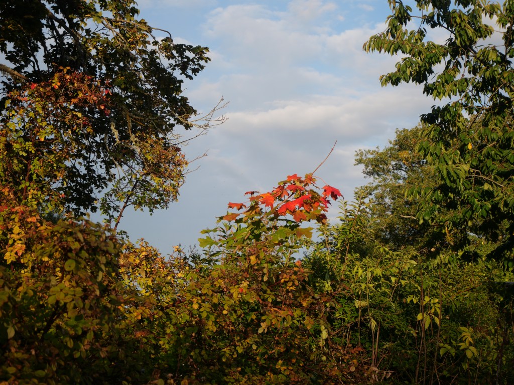 ©kristinakeyzer2022