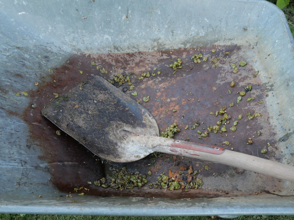 ©kristinakeyzer2022