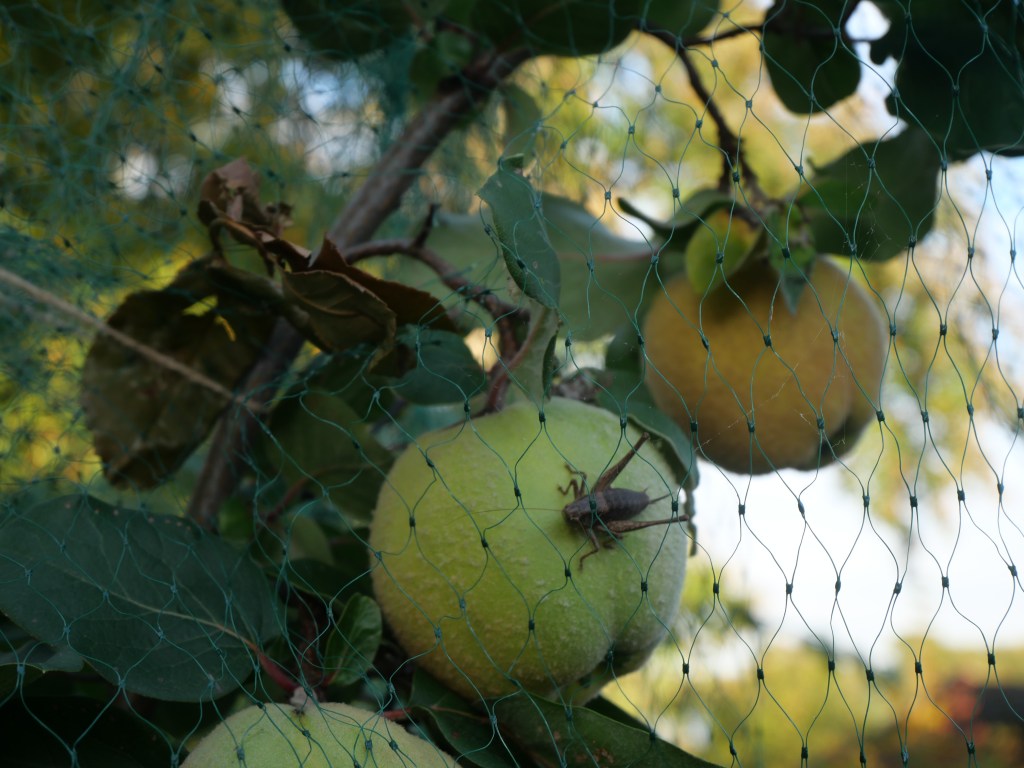 ©kristinakeyzer2022