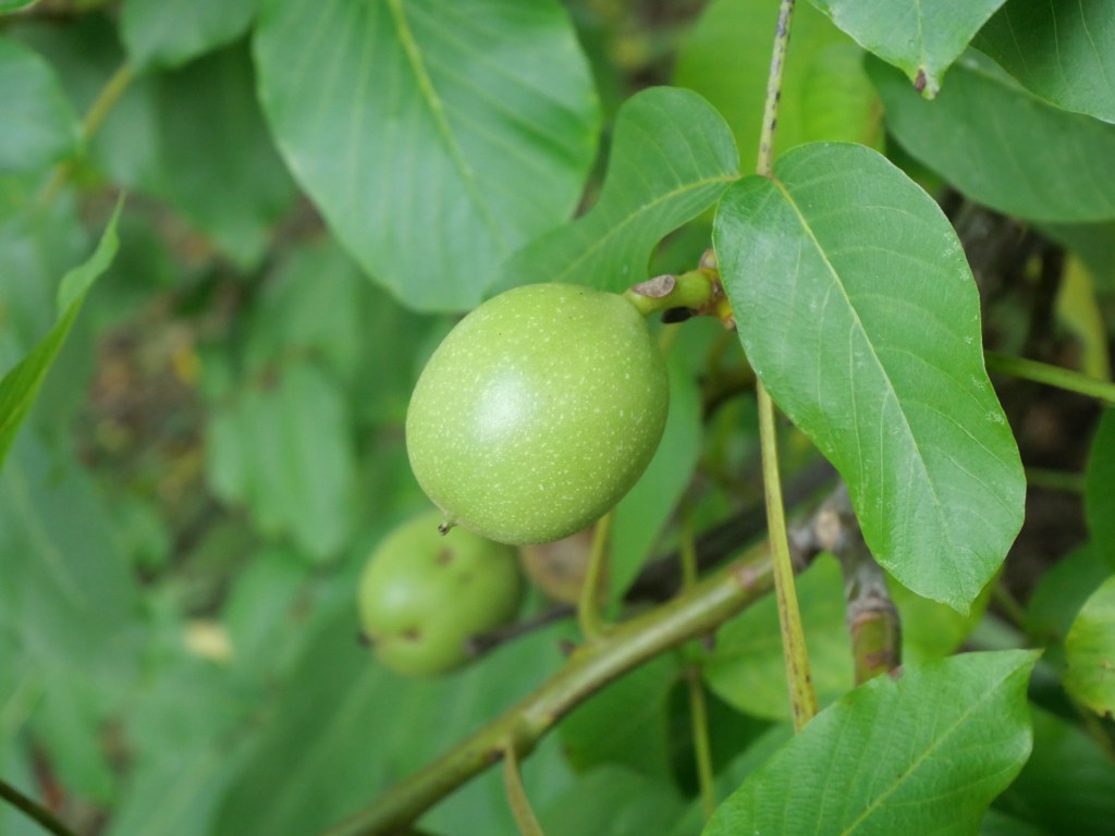 ©kristinakeyzer2022